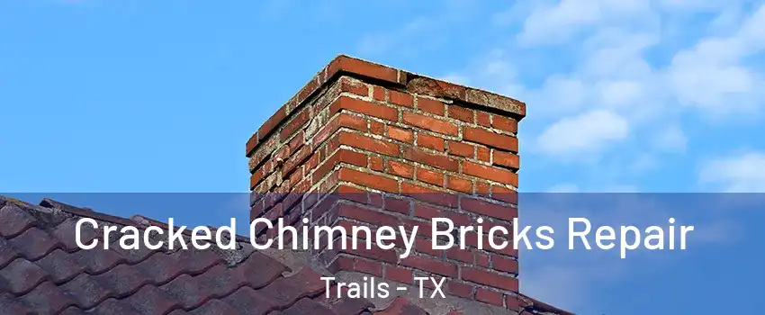 Cracked Chimney Bricks Repair Trails - TX
