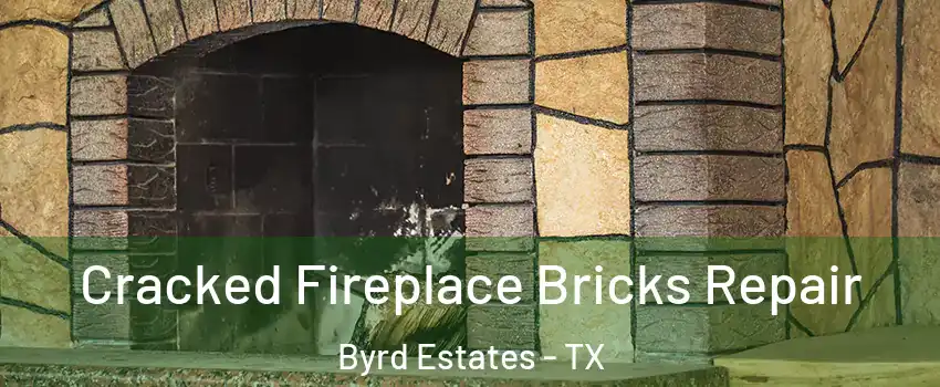 Cracked Fireplace Bricks Repair Byrd Estates - TX