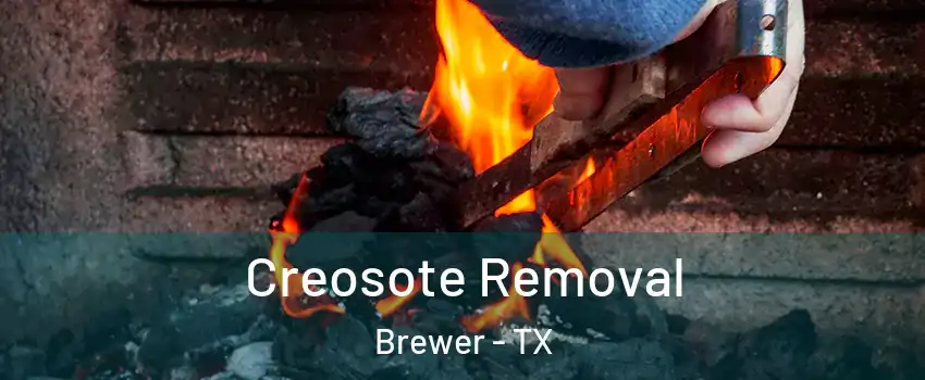 Creosote Removal Brewer - TX