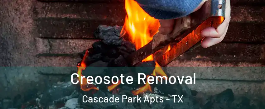Creosote Removal Cascade Park Apts - TX