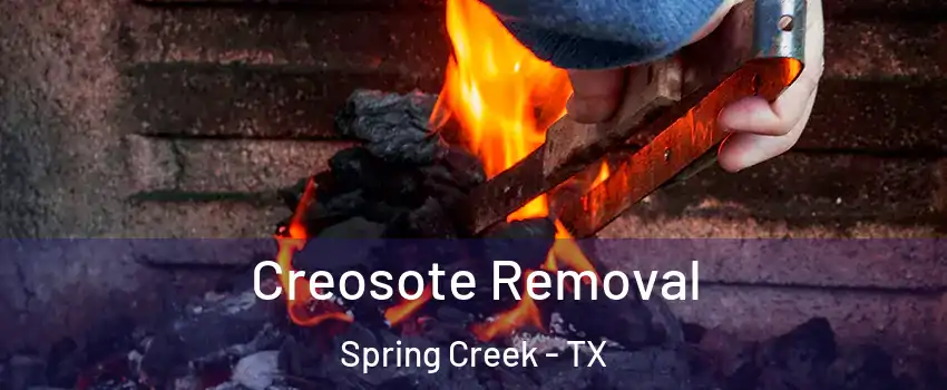 Creosote Removal Spring Creek - TX