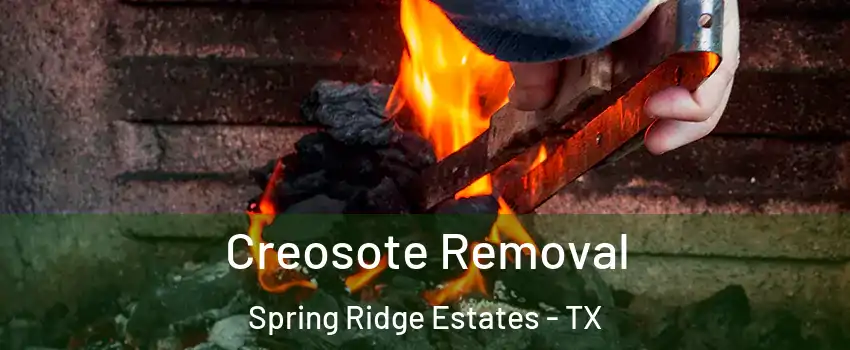 Creosote Removal Spring Ridge Estates - TX