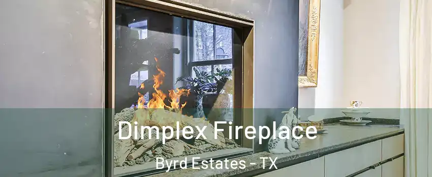 Dimplex Fireplace Byrd Estates - TX