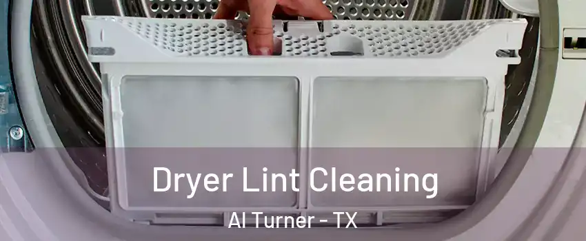 Dryer Lint Cleaning Al Turner - TX