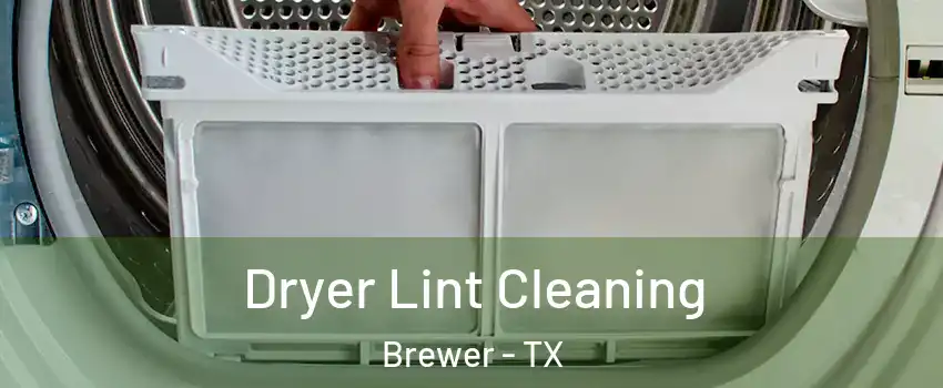 Dryer Lint Cleaning Brewer - TX