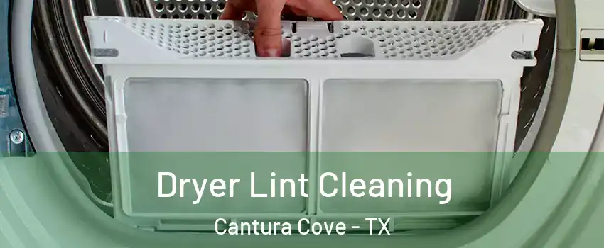 Dryer Lint Cleaning Cantura Cove - TX