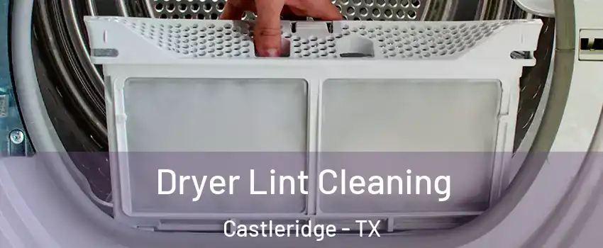 Dryer Lint Cleaning Castleridge - TX