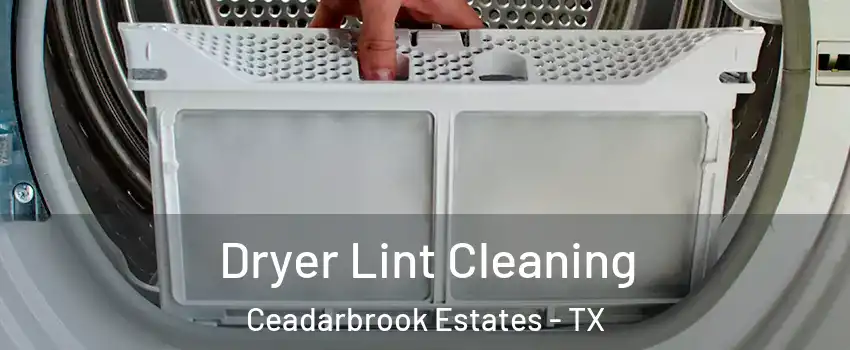 Dryer Lint Cleaning Ceadarbrook Estates - TX