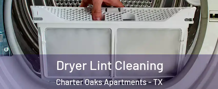 Dryer Lint Cleaning Charter Oaks Apartments - TX