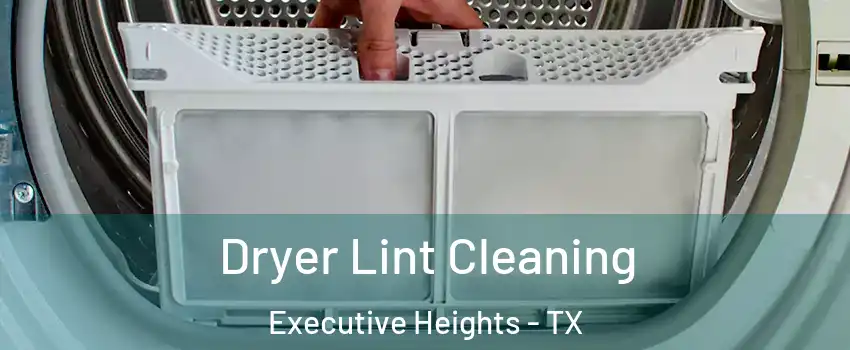 Dryer Lint Cleaning Executive Heights - TX