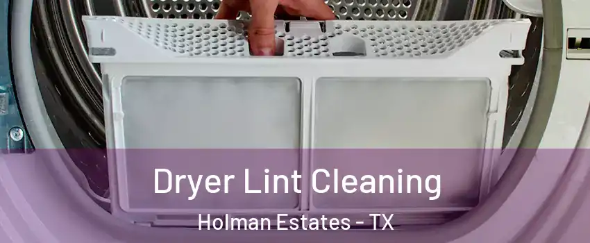 Dryer Lint Cleaning Holman Estates - TX