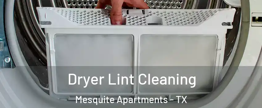 Dryer Lint Cleaning Mesquite Apartments - TX