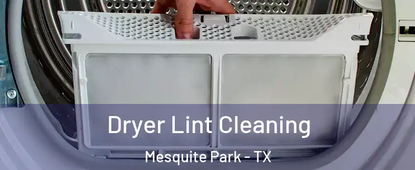 Dryer Lint Cleaning Mesquite Park - TX