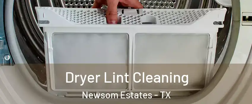 Dryer Lint Cleaning Newsom Estates - TX
