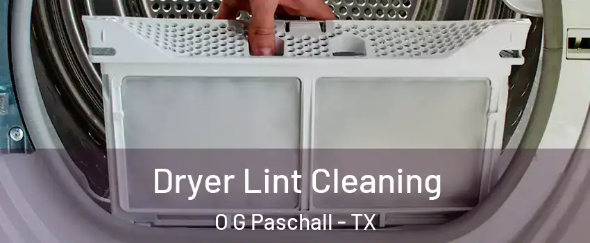 Dryer Lint Cleaning O G Paschall - TX