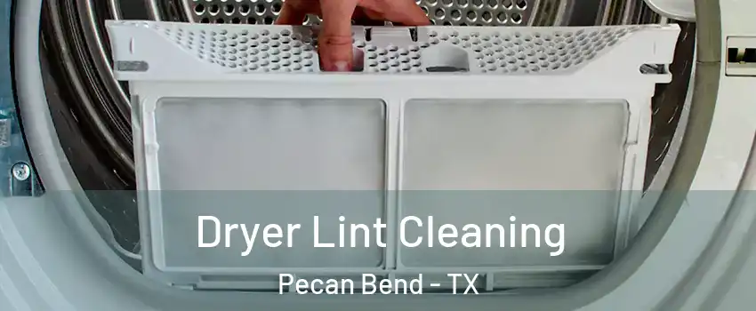 Dryer Lint Cleaning Pecan Bend - TX