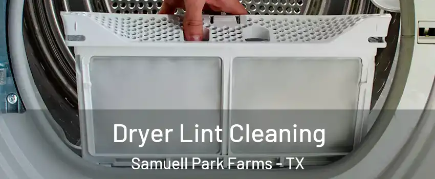 Dryer Lint Cleaning Samuell Park Farms - TX