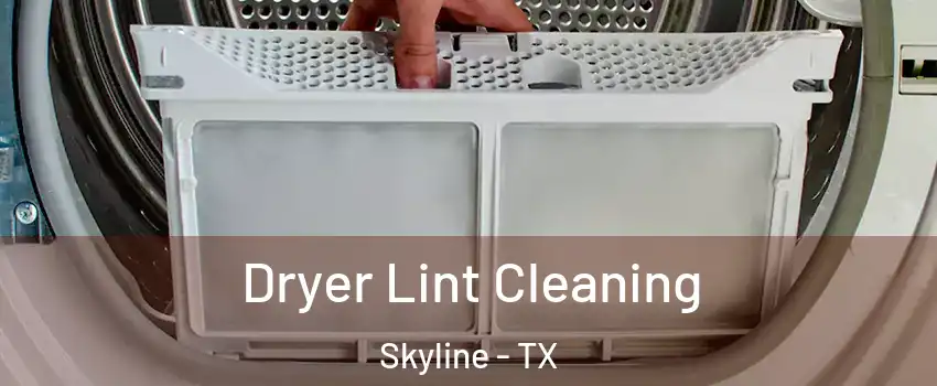 Dryer Lint Cleaning Skyline - TX
