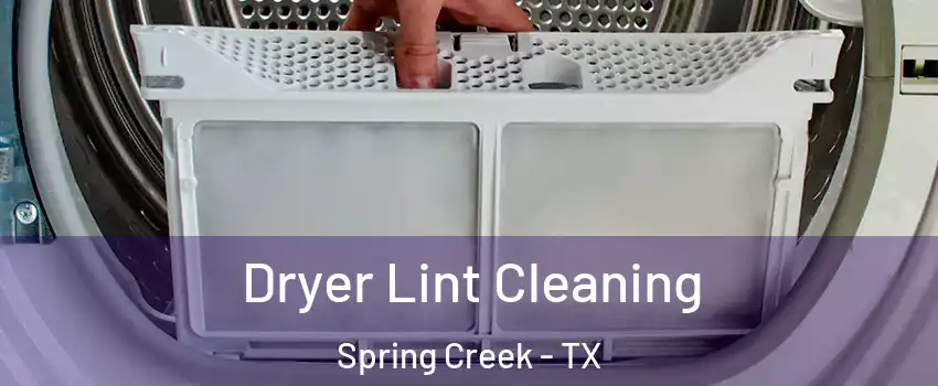 Dryer Lint Cleaning Spring Creek - TX