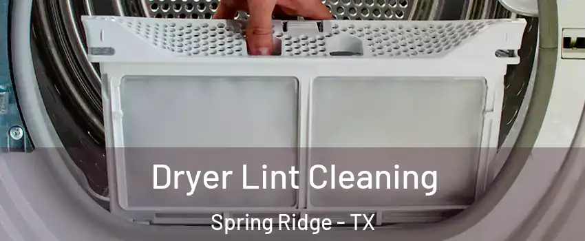 Dryer Lint Cleaning Spring Ridge - TX