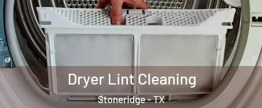 Dryer Lint Cleaning Stoneridge - TX