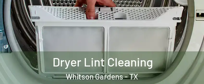 Dryer Lint Cleaning Whitson Gardens - TX