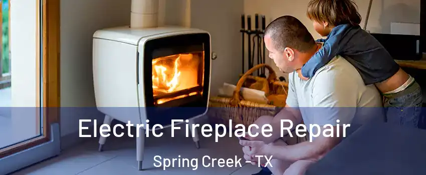 Electric Fireplace Repair Spring Creek - TX