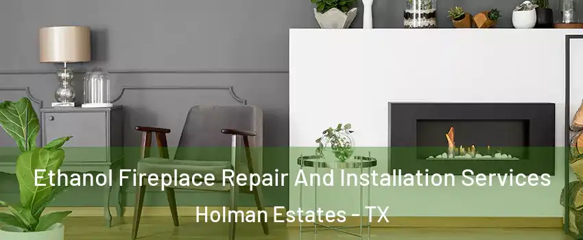 Ethanol Fireplace Repair And Installation Services Holman Estates - TX