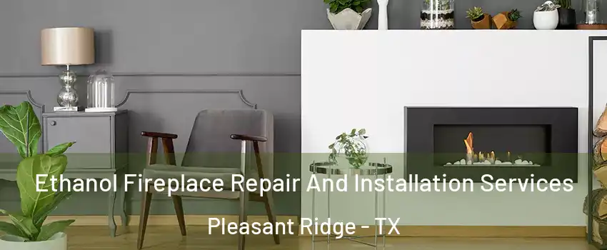 Ethanol Fireplace Repair And Installation Services Pleasant Ridge - TX