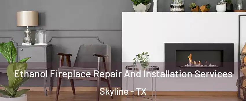 Ethanol Fireplace Repair And Installation Services Skyline - TX