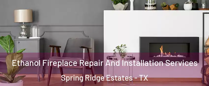 Ethanol Fireplace Repair And Installation Services Spring Ridge Estates - TX