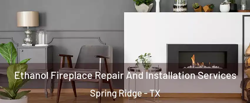 Ethanol Fireplace Repair And Installation Services Spring Ridge - TX