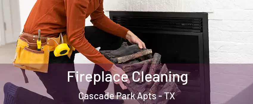 Fireplace Cleaning Cascade Park Apts - TX