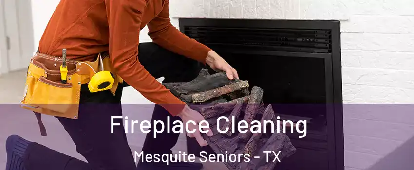 Fireplace Cleaning Mesquite Seniors - TX