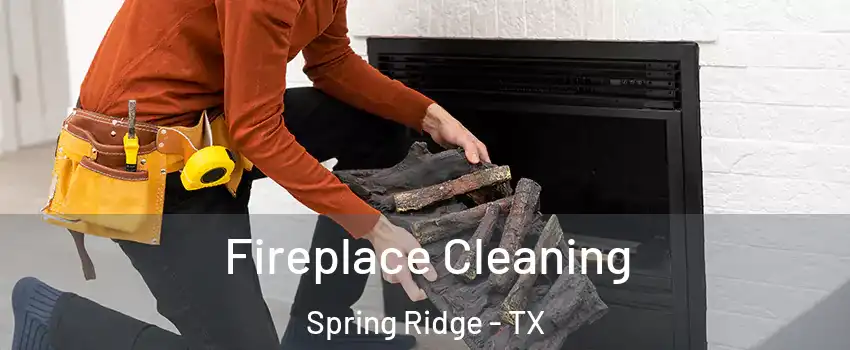 Fireplace Cleaning Spring Ridge - TX