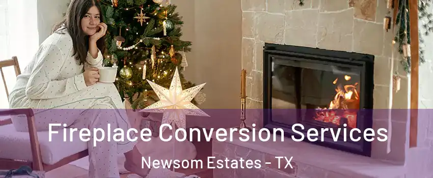Fireplace Conversion Services Newsom Estates - TX