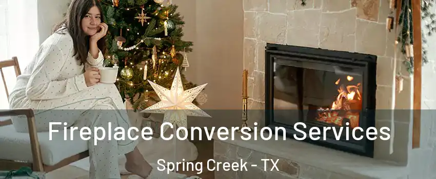 Fireplace Conversion Services Spring Creek - TX