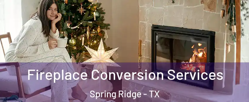Fireplace Conversion Services Spring Ridge - TX
