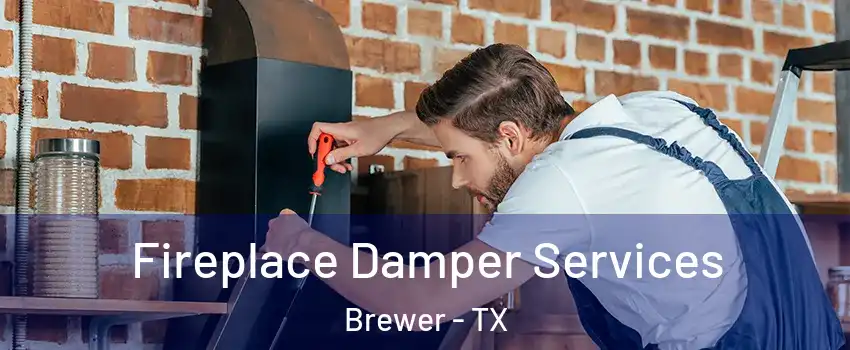 Fireplace Damper Services Brewer - TX