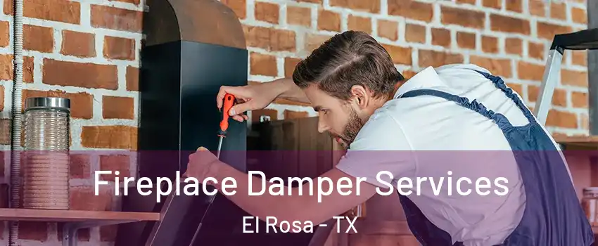Fireplace Damper Services El Rosa - TX