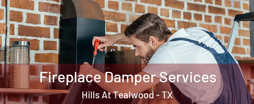 Fireplace Damper Services Hills At Tealwood - TX