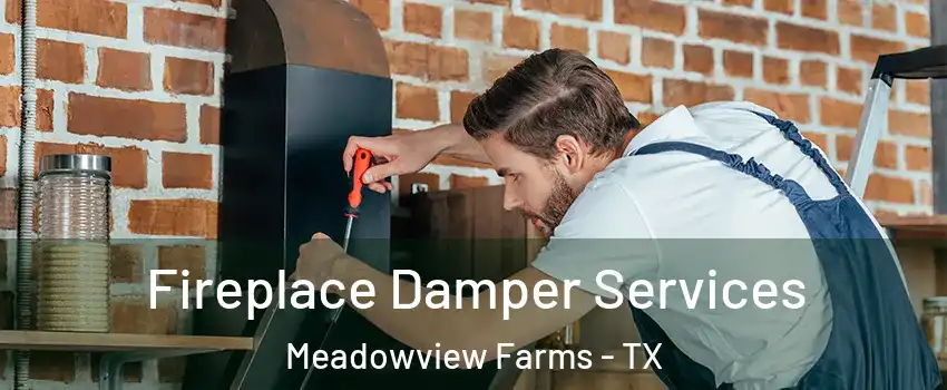 Fireplace Damper Services Meadowview Farms - TX