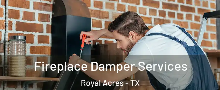Fireplace Damper Services Royal Acres - TX