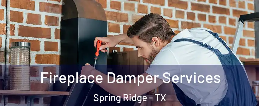 Fireplace Damper Services Spring Ridge - TX