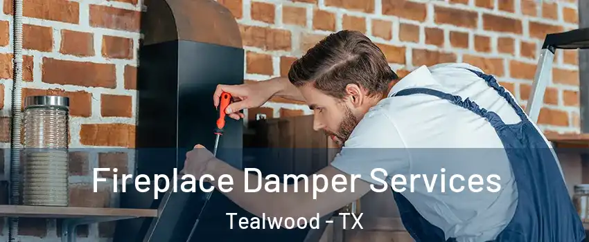 Fireplace Damper Services Tealwood - TX