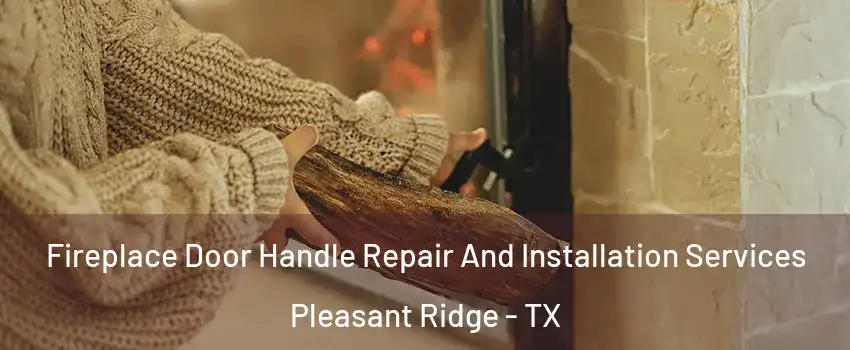 Fireplace Door Handle Repair And Installation Services Pleasant Ridge - TX