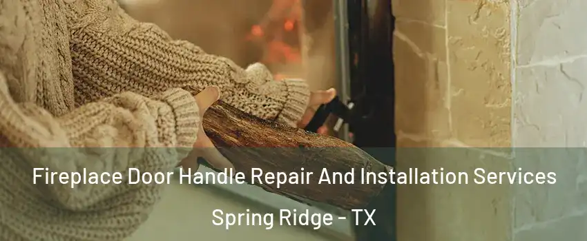Fireplace Door Handle Repair And Installation Services Spring Ridge - TX