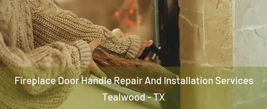 Fireplace Door Handle Repair And Installation Services Tealwood - TX