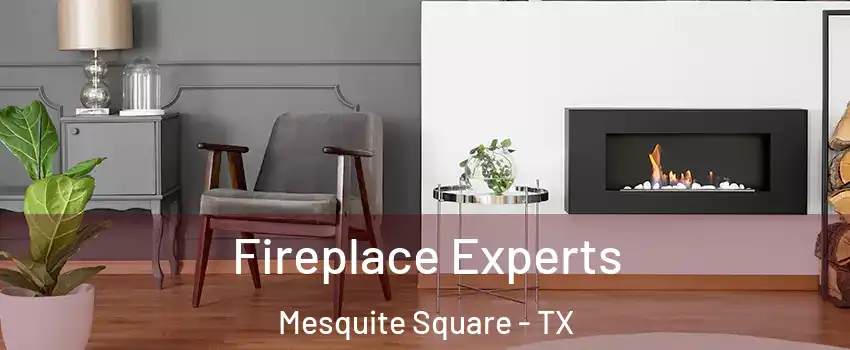 Fireplace Experts Mesquite Square - TX
