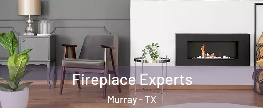 Fireplace Experts Murray - TX